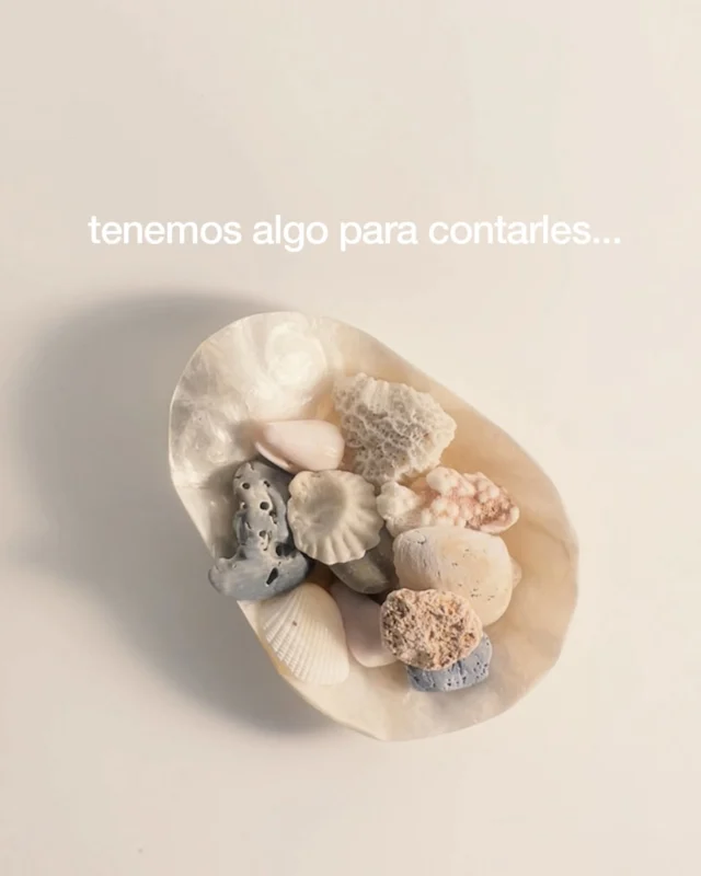 Nos pidieron esta linea, como nunca antes. Gracias por insistirnos! amamos hacerla! ❤️ 

Nos permitió explorar la identidad de brigitte y llegar a horizontes no conocidos, en nuestra mood preferido: el verano.☀️

la semana pasada les dimos algunas pistas de este sueño que empieza a escribirse: 𝑙𝑖𝑣𝑖𝑎𝑛𝑑𝑎𝑑, 𝑚𝑎𝑟, 𝑒𝑛𝑎𝑚𝑜𝑟𝑎𝑟𝑡𝑒, 𝑣𝑖𝑎𝑗𝑒.

te esperabas este lanzamiento?👀 contanos en comentarios...